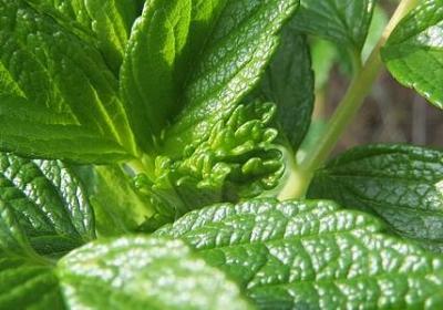 描写社会现实的句子(热门20句) 描写社会现实的句子(热门20句)