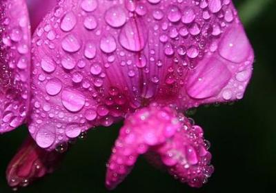 描写春天风筝的句子(优选44句) 描写春天风筝的句子(优选44句)