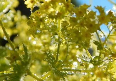 描写男孩帅气的句子(汇总50句) 描写男孩帅气的句子(汇总50句)