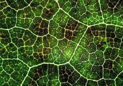 描写狂风暴雨的句子(推荐50句) 描写狂风暴雨的句子(推荐50句)