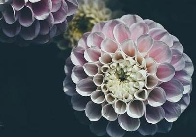 描写翠湖的句子(10句) 描写翠湖的句子(10句)