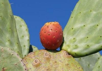 描写秋天的结尾句子(共6句) 描写秋天的结尾句子(共6句)