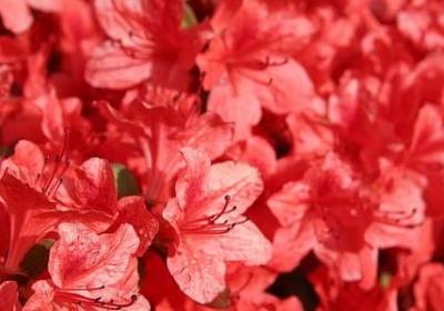 描写男子身材好的句子(优选20句) 描写男子身材好的句子(优选20句)