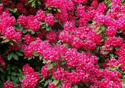 描写荒原的句子(热门20句) 描写荒原的句子(热门20句)