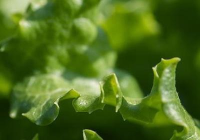 描述五官的句子(热门50句) 描述五官的句子(热门50句)