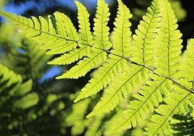 描写路灯的句子(14句) 描写路灯的句子(14句)