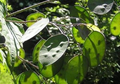 描写青蛙的句子 摘抄(优选50句) 描写青蛙的句子 摘抄(优选50句)