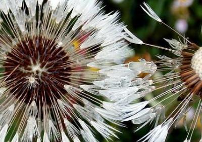 描写雨夜的优美句子(合集49句) 描写雨夜的优美句子(合集49句)