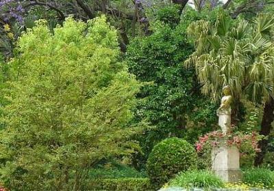 描写金鱼游动的句子(合集50句) 描写金鱼游动的句子(合集50句)