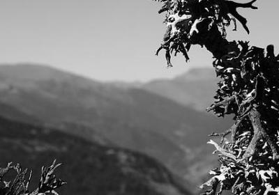 描写钢笔外形的句子(热门51句) 描写钢笔外形的句子(热门51句)