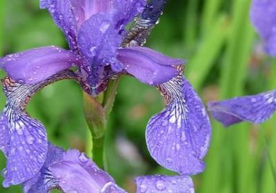 搞笑短句子能笑死人的(通用50句) 搞笑短句子能笑死人的(通用50句)