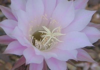 描写雷声的句子(必备50句) 描写雷声的句子(必备50句)