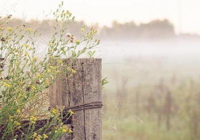 描写风的好句子(通用50句)