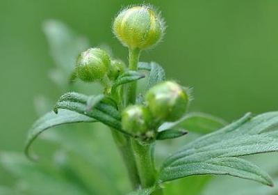 撑不下去的句子(优选100句)