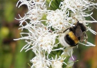 描述耳朵的句子(合集14句)