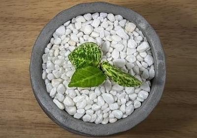 揪心的痛的短句(热门50句)