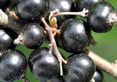 描写魔鬼的句子(精选30句)