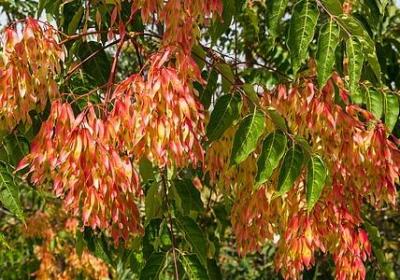 揪心的疼句子(49句)