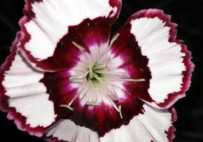 描述班级的句子(精选48句)