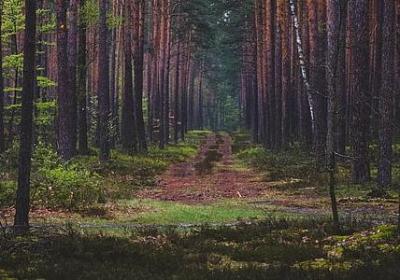 描述阴天的句子(优选20句)