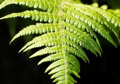 描写雪景的唯美句子(必备50句)