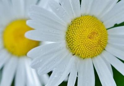 撩人的英语短句(优选30句)