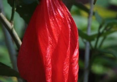 描述农家乐的句子(通用11句)