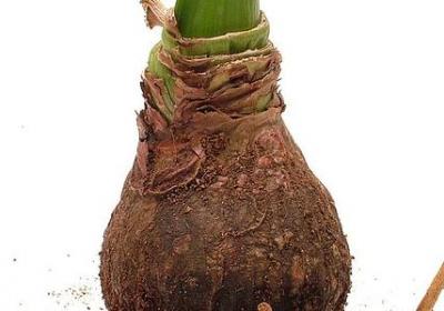 描写银子岩的句子(热门5句) 描写银子岩的句子(热门5句)