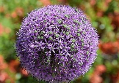 提示语在前的句子10句(推荐20句) 提示语在前的句子10句(推荐20句)