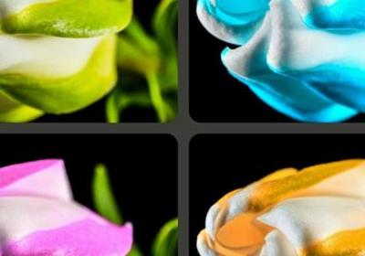 描述贝壳的句子(汇总11句) 描述贝壳的句子(汇总11句)