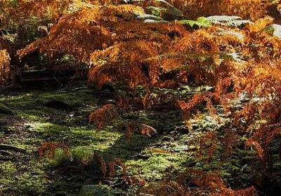 描述鸣沙山的句子(合集21句) 描述鸣沙山的句子(合集21句)