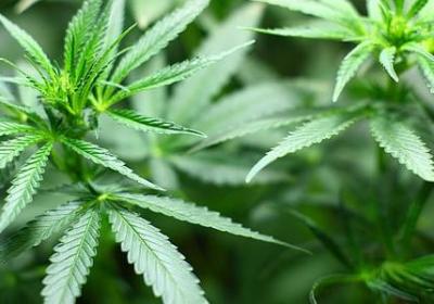 搞笑的心灵鸡汤短句(汇总50句) 搞笑的心灵鸡汤短句(汇总50句)