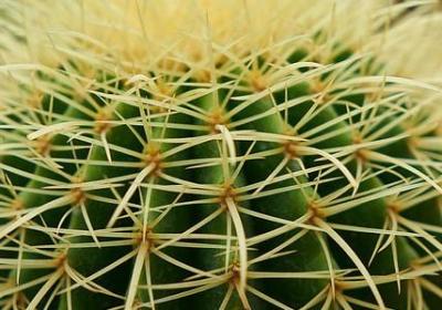 描述大草原的句子(热门50句) 描述大草原的句子(热门50句)