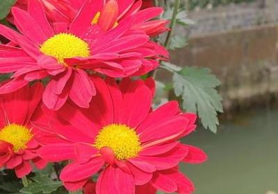 提醒自己努力的短句(通用50句) 提醒自己努力的短句(通用50句)