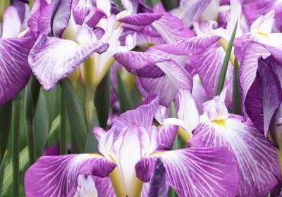 描述迪斯尼的唯美句子(优选15句) 描述迪斯尼的唯美句子(优选15句)