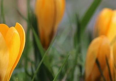 描绘早晨的句子(汇总30句) 描绘早晨的句子(汇总30句)