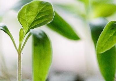 描述情感的句子(通用50句) 描述情感的句子(通用50句)