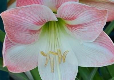 描述老师外貌的句子(精选52句) 描述老师外貌的句子(精选52句)