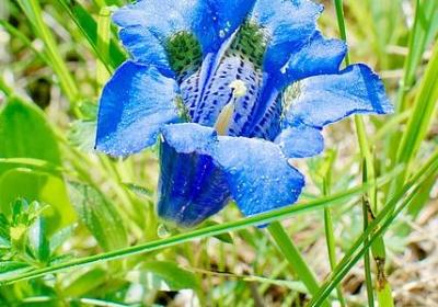 描写长头发的句子(推荐50句) 描写长头发的句子(推荐50句)