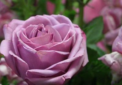 描写速度快的句子(优选40句) 描写速度快的句子(优选40句)