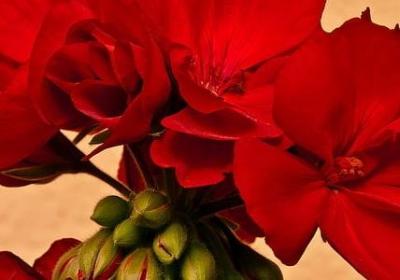 搞笑句子短句文字(必备30句) 搞笑句子短句文字(必备30句)