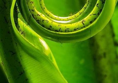 描述第一场雪的句子(通用12句) 描述第一场雪的句子(通用12句)