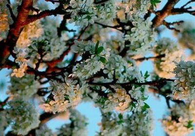 描写钟乳石的句子(合集51句) 描写钟乳石的句子(合集51句)