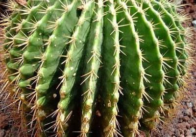 提示语在后面的句子怎么写(40句) 提示语在后面的句子怎么写(40句)