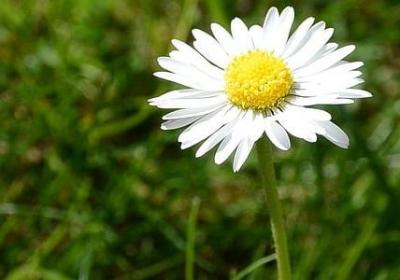 揭穿谎言的句子(通用50句) 揭穿谎言的句子(通用50句)