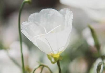 撩人的情话短句(汇总50句) 撩人的情话短句(汇总50句)