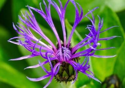 描写雪夜的句子(热门50句) 描写雪夜的句子(热门50句)