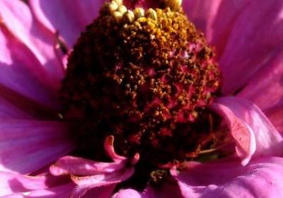 描写雨伞样子的句子(实用10句) 描写雨伞样子的句子(实用10句)