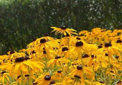 描述自信的句子(热门50句) 描述自信的句子(热门50句)