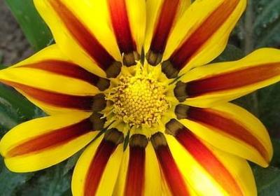 描述大风的句子(51句) 描述大风的句子(51句)